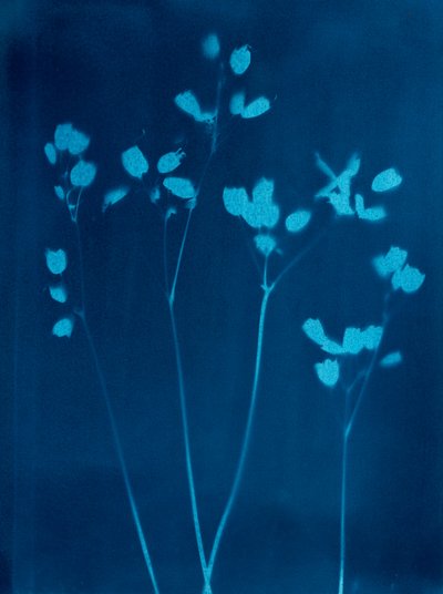  by Marco Campedelli