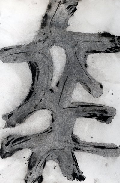  by Marco Campedelli