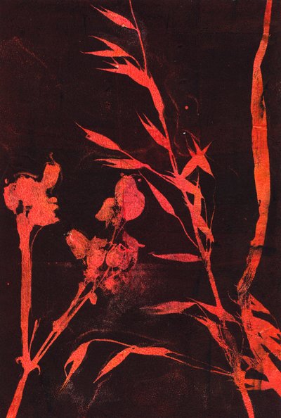  by Marco Campedelli