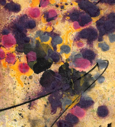  by Marco Campedelli