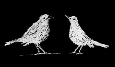 by Marco Campedelli
