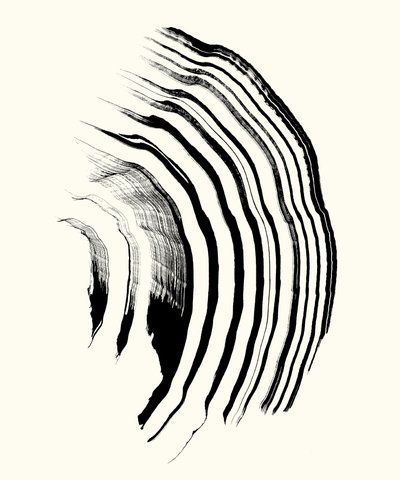  by Marco Campedelli