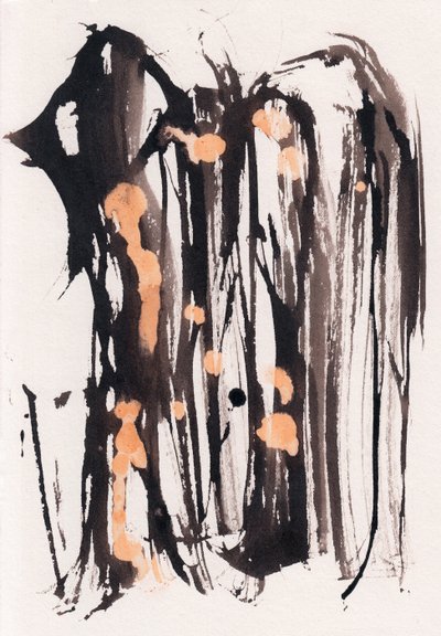  by Marco Campedelli