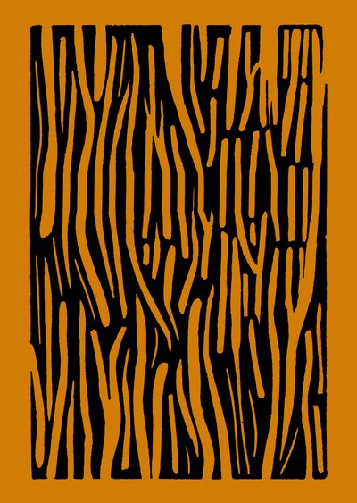  by Marco Campedelli
