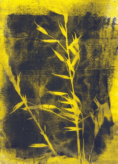  by Marco Campedelli