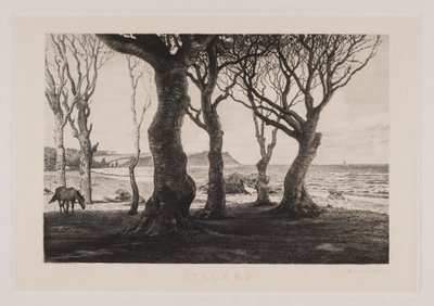 Yahudi manzarası by Marcus Bech Fritz