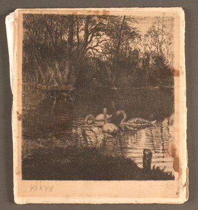 Kuğu ile motif. Frederiksberg bahçesi by Marcus Bech Fritz