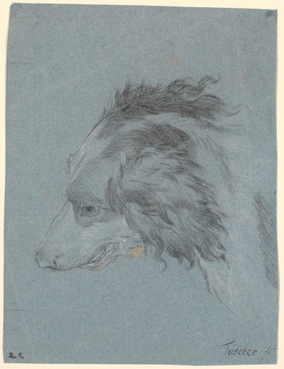 Bir köpeğin kafası by Marcus Tuscher