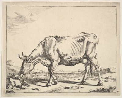İnek, Paulus Potter