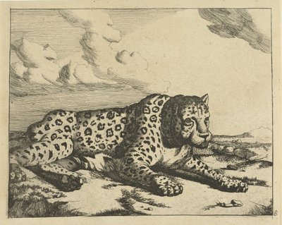 Sağda yatan leopar, izleyiciye patileri Leoparlar (dizi adı) by Marcus de Bye