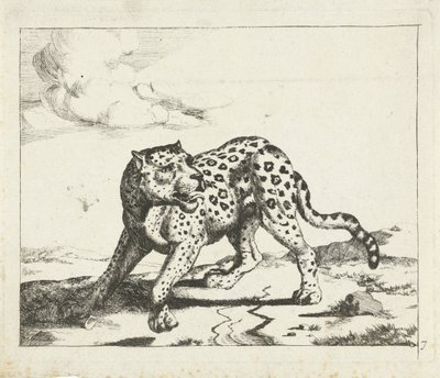 Leopar, ayakta solda, başı sağda Leoparlar (dizi adı) by Marcus de Bye