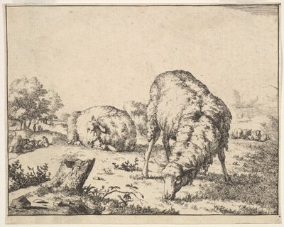 Koyun, 16 tabaklık bir setten, 1664. by Marcus de Bye