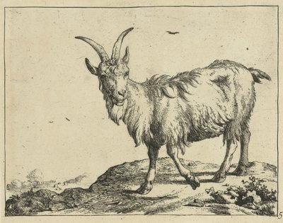 Önden ayakta keçi Keçiler ve Bucks (dizi başlığı) by Marcus de Bye
