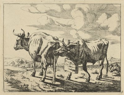 İki ayakta inek İnekler ve Koyunlar (dizi adı) by Marcus de Bye