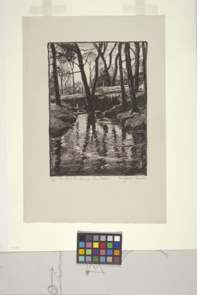 The Brook in Spring, Pine Manor (litho) by Margaret Jordan Patterson