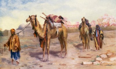  by Margaret Thomas