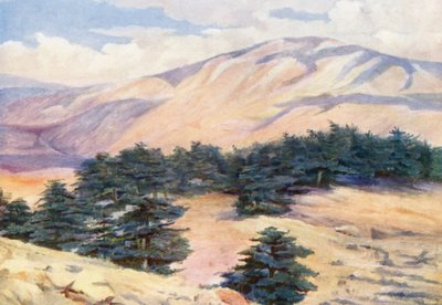  by Margaret Thomas