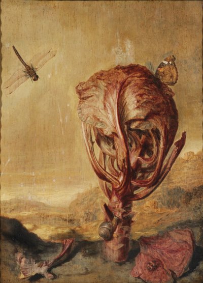 Bir manzarada kırmızı lahana, salyangoz, kelebek, yusufçuk, arı ve tahta biti by Margarethe de Heer