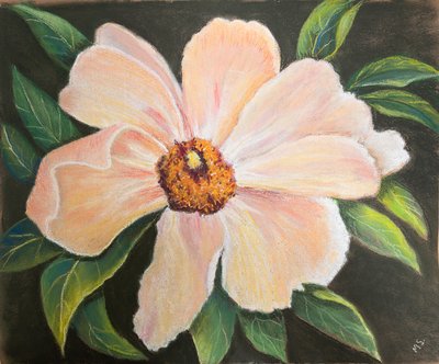 Büyük Şakayık, 2022 (pastel) by Margo Starkey