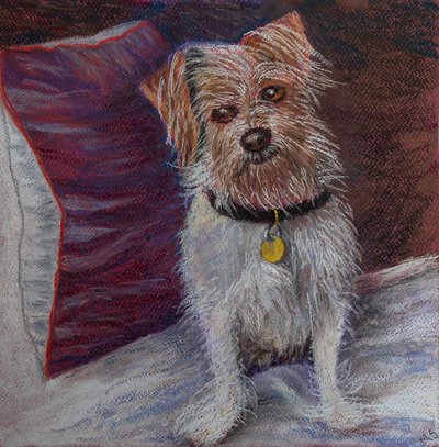 İpek yastıktaki minik köpeğim, 2020 (pastel) by Margo Starkey