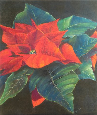 Atatürk çiçeği, 2022 (pastel) by Margo Starkey