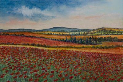 Haşhaş tarlaları.. Flandre, 2020 (pastel) by Margo Starkey