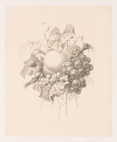 Meyvelerin bileşimi by Maria Geertruida de Goeje Barbiers (attributed to)
