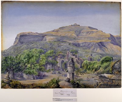 Champaneer, Baroda, Hindistan yakınlarında by Marianne North