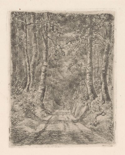Batık bir yol boyunca orman by Marie Adolphine van der Goes van Dirxland