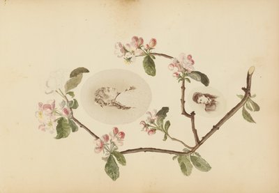 Madam B Albümü by Marie Blanche Hennelle Fournier