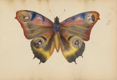 Madame B Albümü, 1870