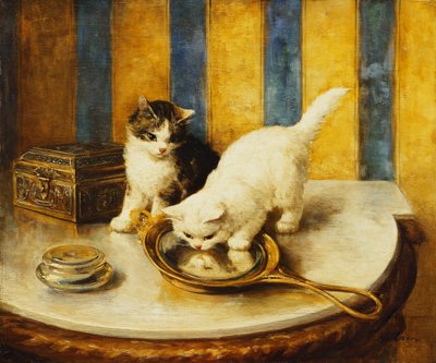 Kedi Yansımaları by Marie Yvonne Laur