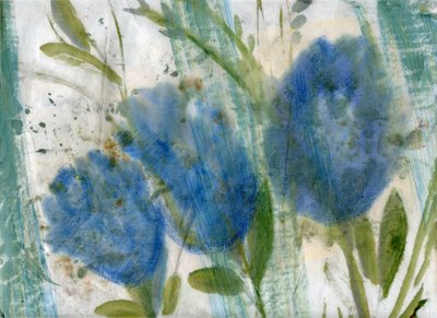  by Marina Falco