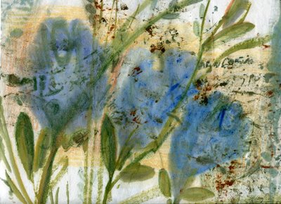  by Marina Falco