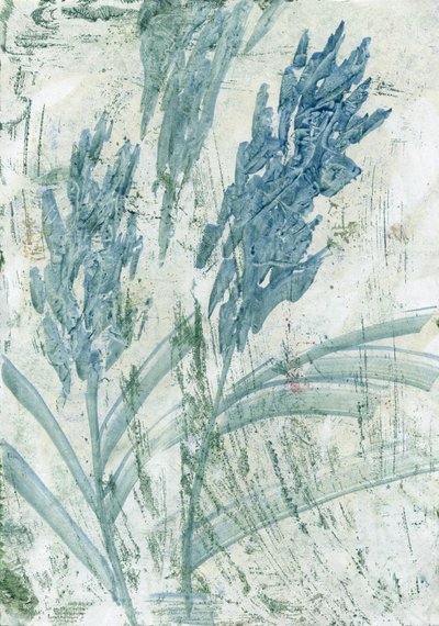  by Marina Falco