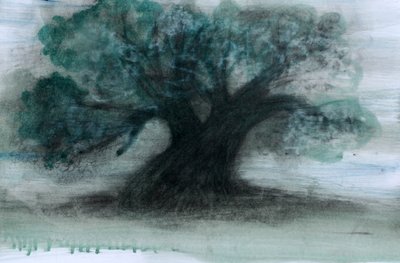  by Marina Falco