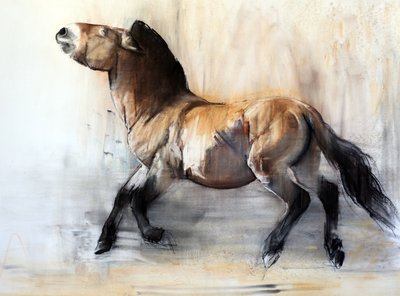 Antik At (kışın Przewalski), 2014 by Mark Adlington