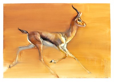 Arap Gazeli, 2010 (kağıt üzerine yağlı boya) by Mark Adlington
