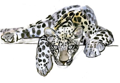 Arap Leoparı, 2008 by Mark Adlington