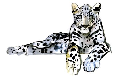 Arap Leoparı, 2008 by Mark Adlington