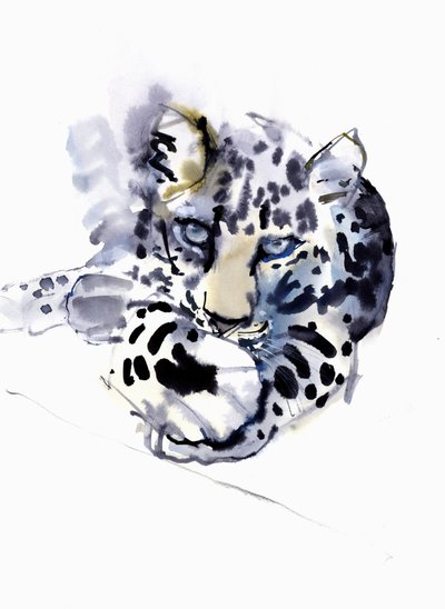 Arap Leoparı, 2008 by Mark Adlington