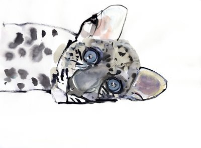 Arap Leoparı, 2008 by Mark Adlington