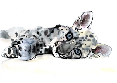 Arap Leoparı Yavrusu, 2008 by Mark Adlington
