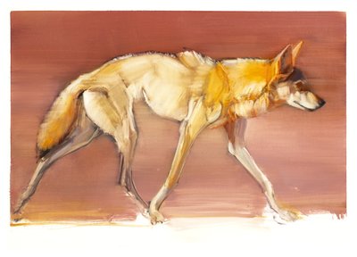 Arap Kurdu, 2010 (kağıt üzeri yağlı boya) by Mark Adlington