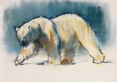 Arktik Işığı, 2017 by Mark Adlington