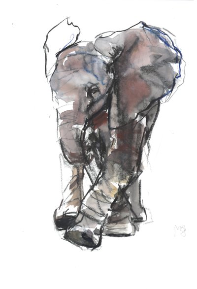 Bebek Fil Çalışması, 2018 by Mark Adlington