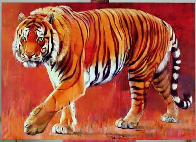 Bengal kaplanı by Mark Adlington