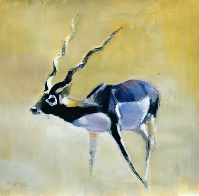 Black Buck, Velavadar, 1997 (kağıt üzerinde karışık teknik) by Mark Adlington