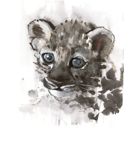 Mavi Gözlü (Arap Leoparı Yavrusu), 2008 by Mark Adlington