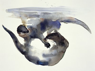 Kur yapma (kağıt üzerine sulu boya) by Mark Adlington